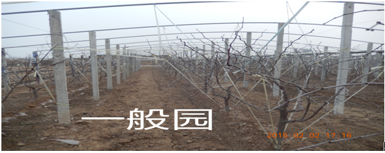 󶬗һ@m.dtdtd.com.cn
