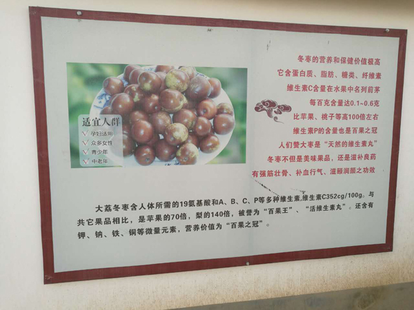 大荔冬棗的營(yíng)養(yǎng)價(jià)值